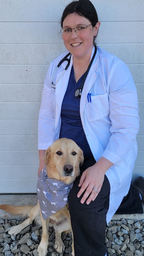 Meet Our Team The Veterinary Clinic, P.C, Veterinarian in Fairfield, IA